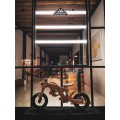Apoyii Moonwalker Tora Balance Bicycle Apoyii Moonwalker Tora Balance Bicycle